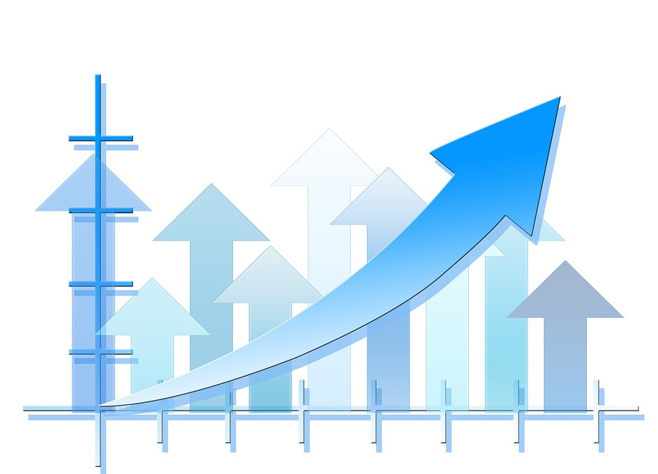 icon showing growth
